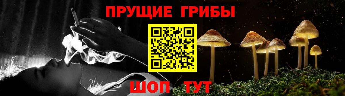 Галлюциногенные грибы GOLDEN TEACHER Таганрог